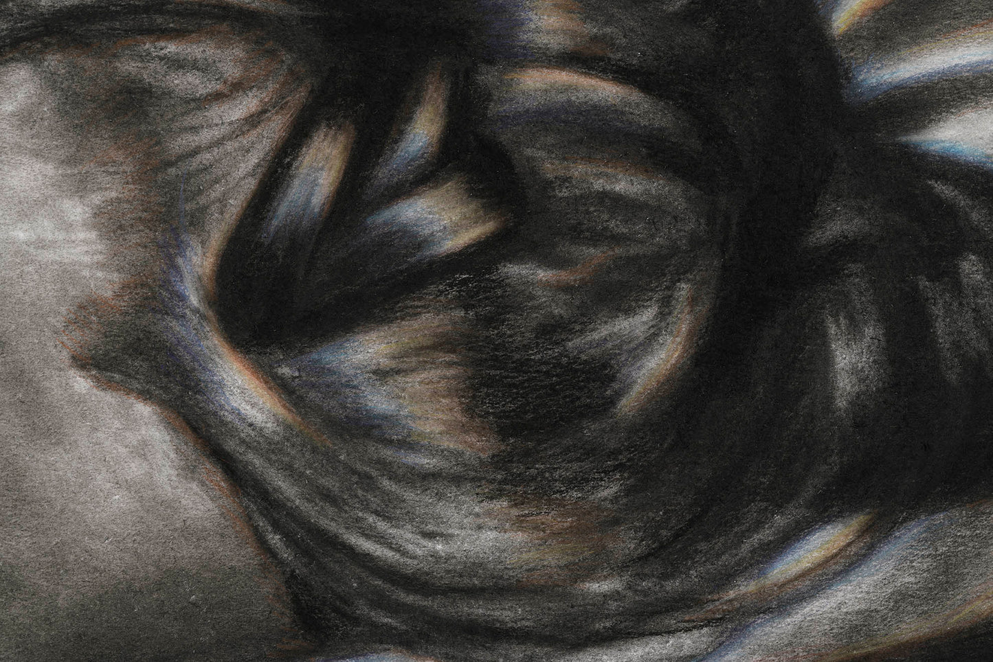 Roos, 2025 – Limited edition archival print – A1